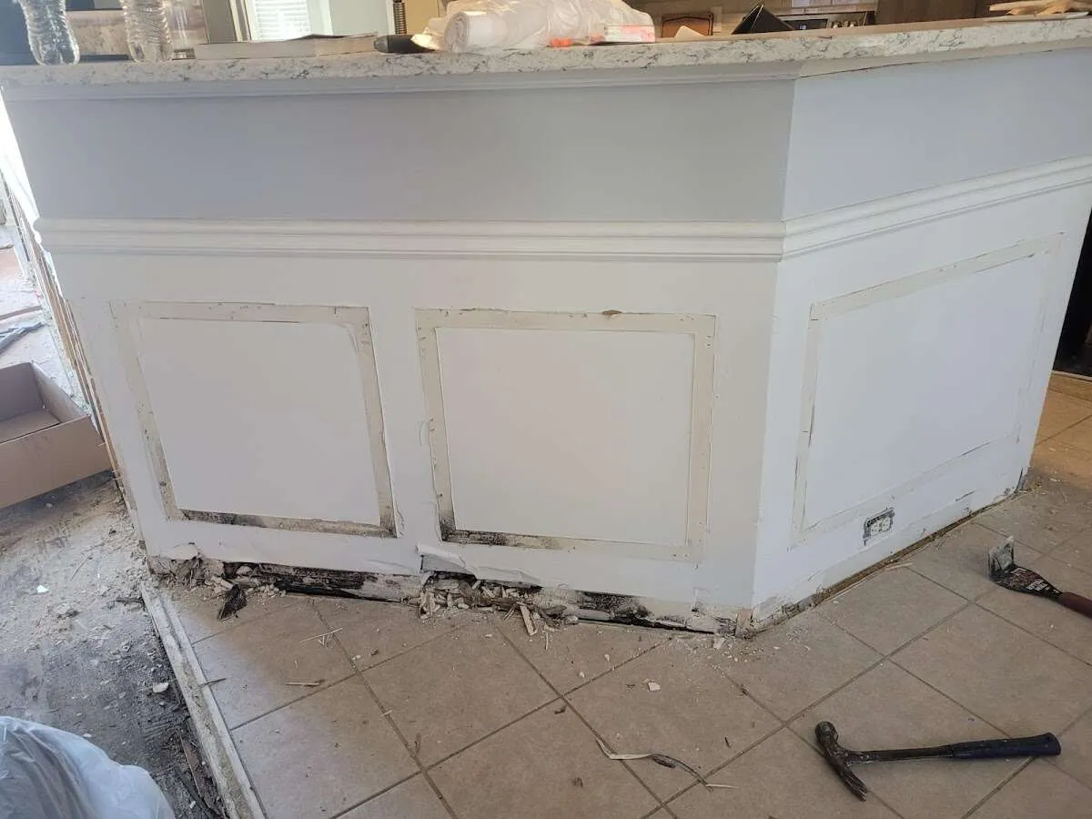 Water damage and mold on kitchen during Sewage Cleanup & Sanitation in Milton